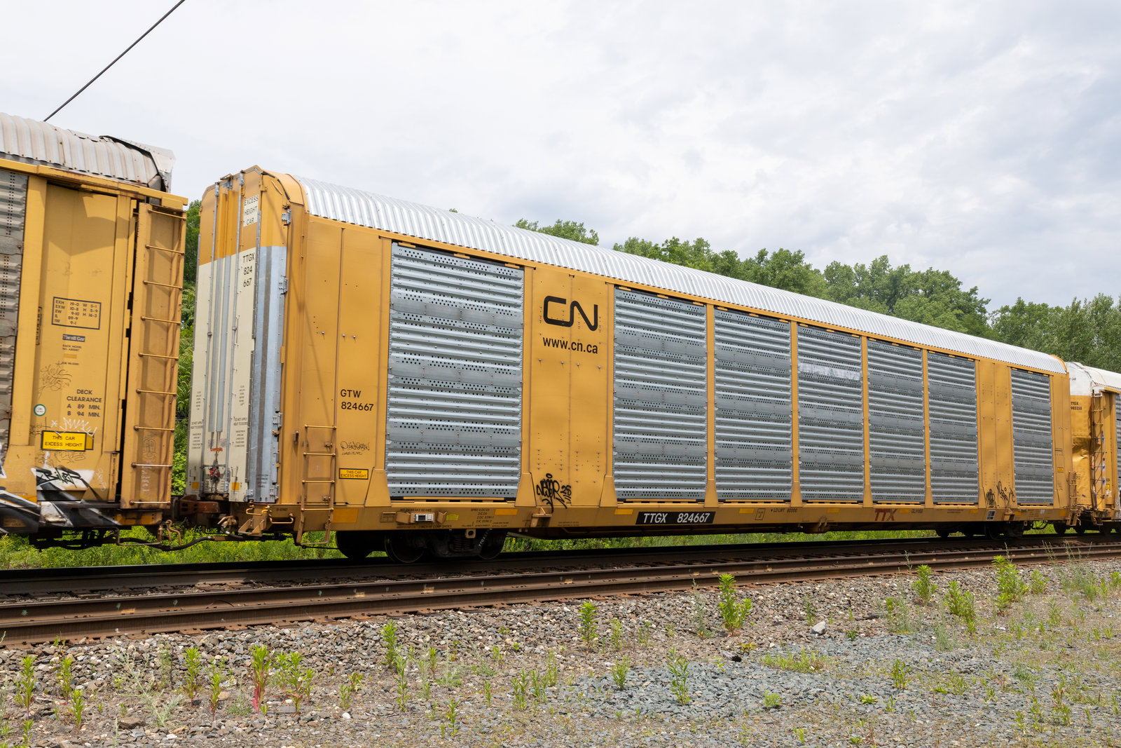 TTGX 824667