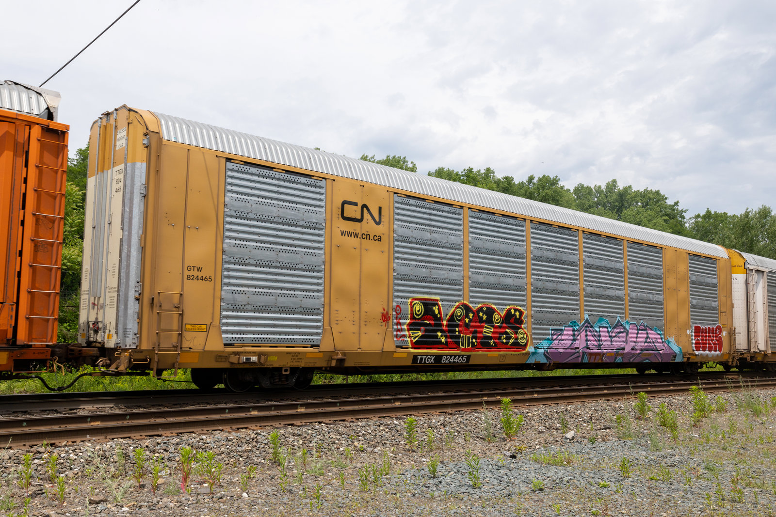 TTGX 824465