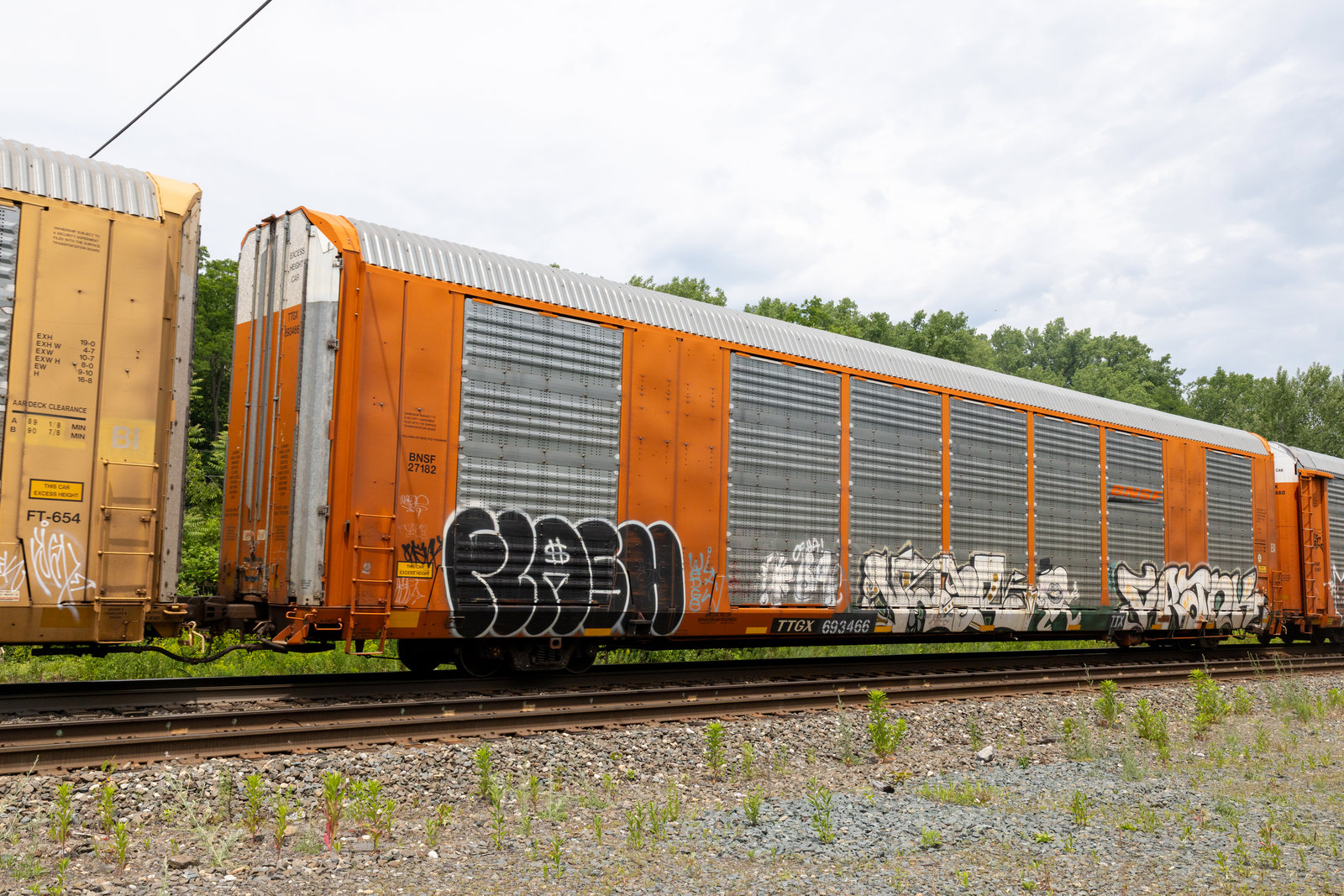 TTGX 693466