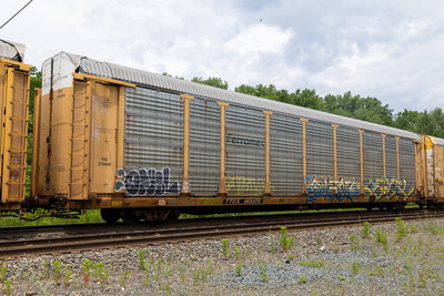 TTGX 965676