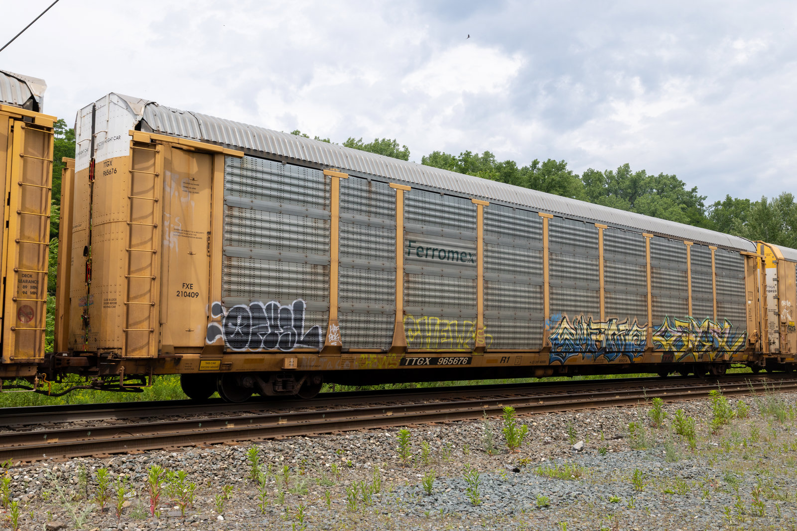 TTGX 965676