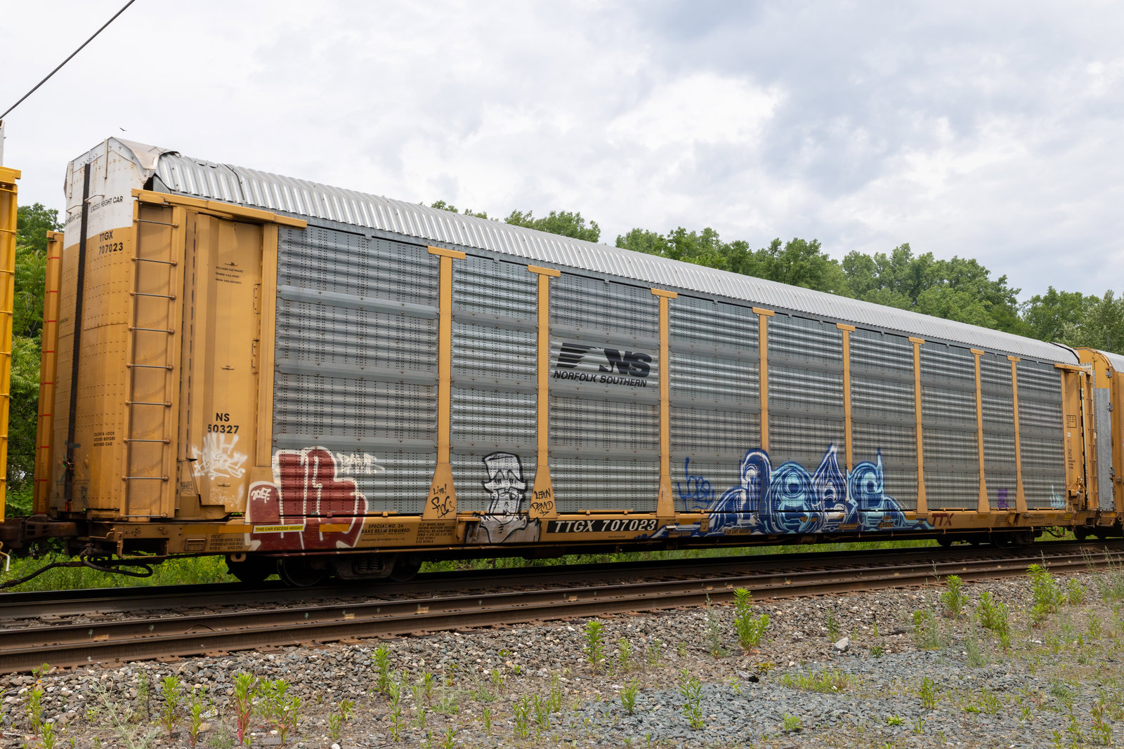 TTGX 707023