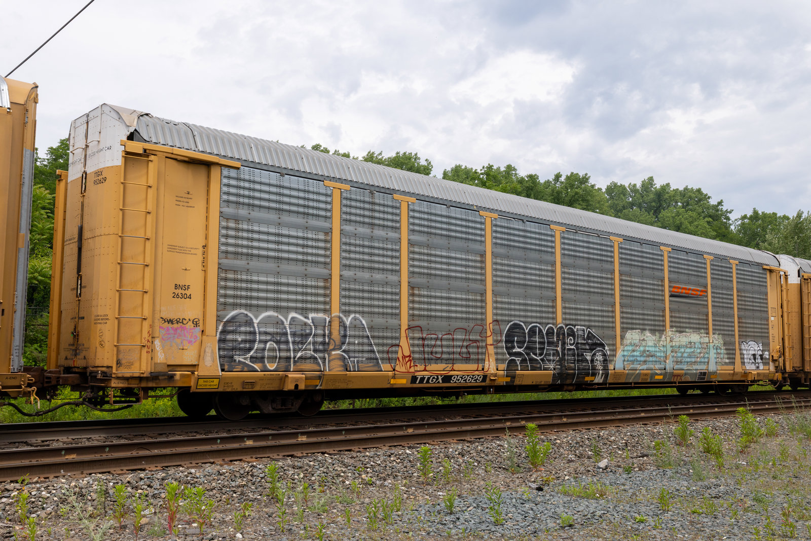 TTGX 952629