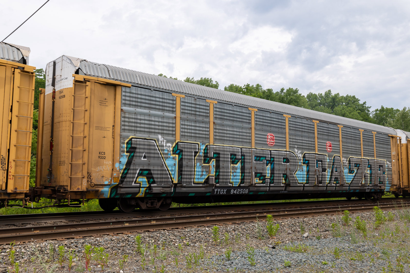 TTGX 942508