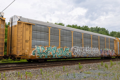 TTGX 702653