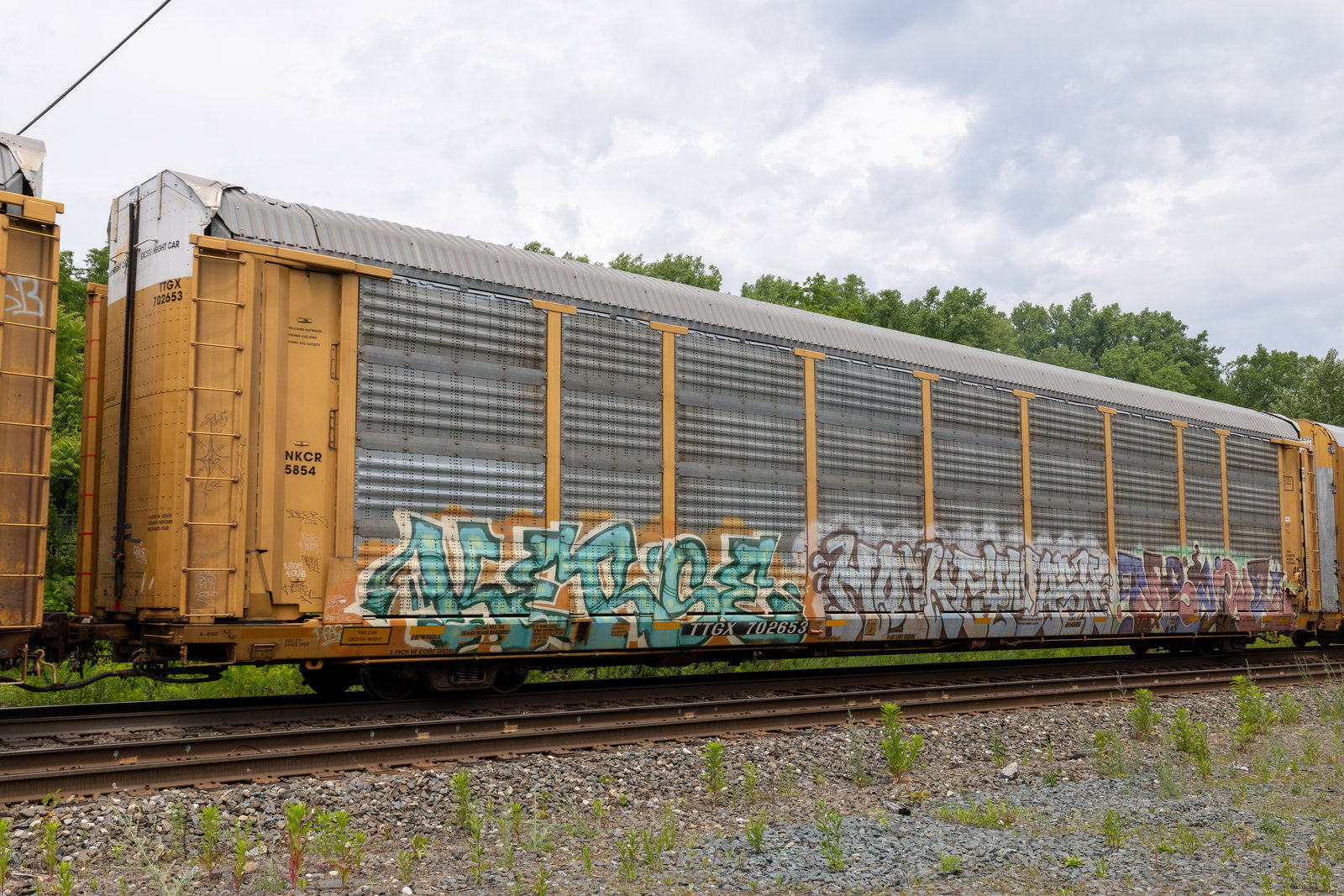 TTGX 702653