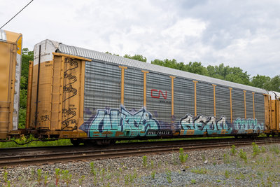 TTGX 706379