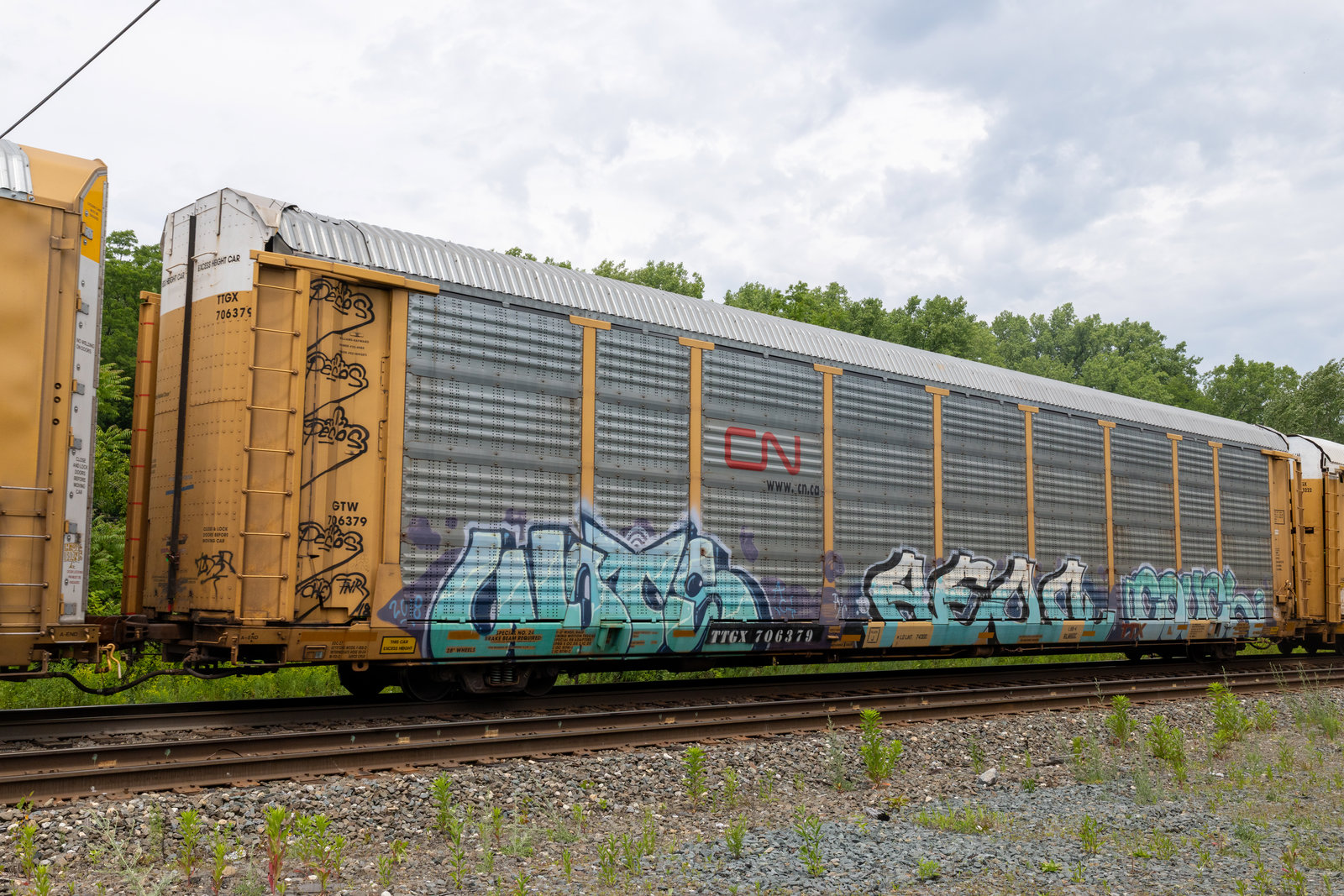TTGX 706379
