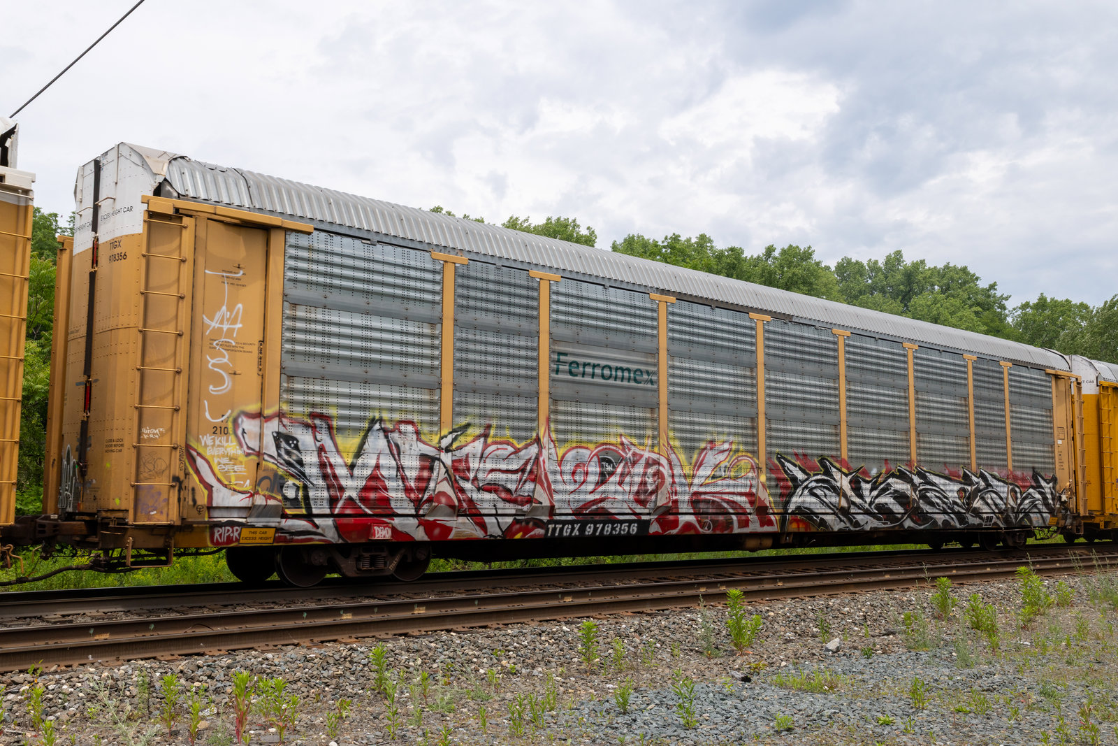 TTGX 978356