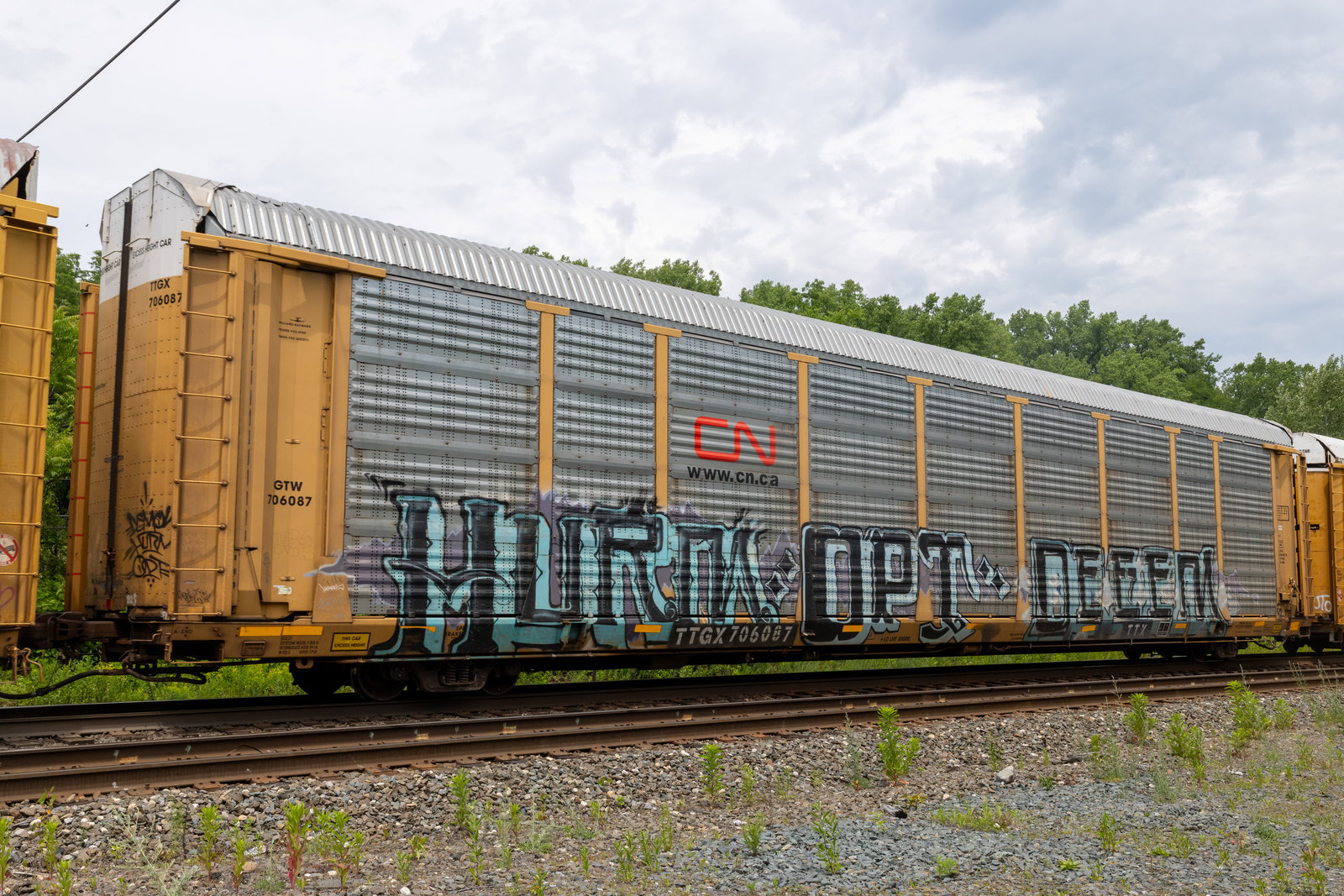 TTGX 706087
