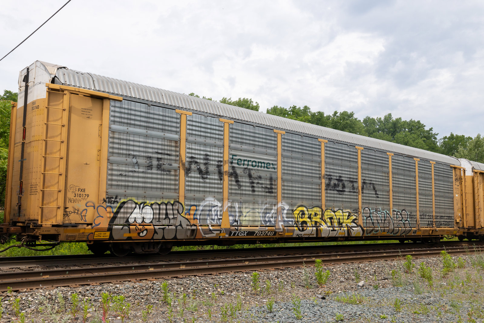 TTGX 703740