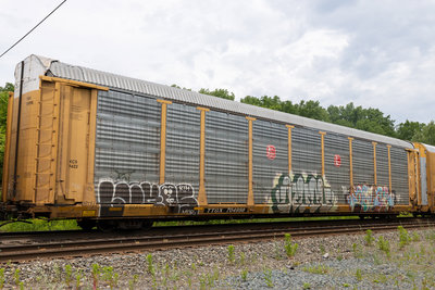 TTGX 704998