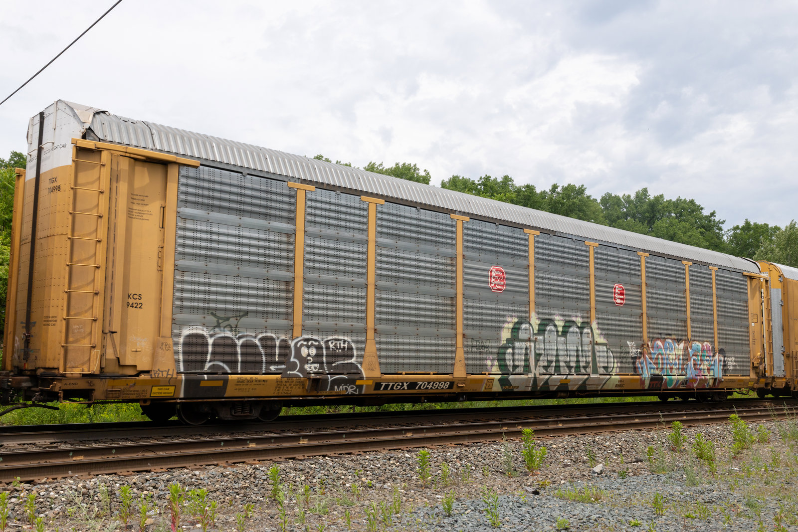 TTGX 704998