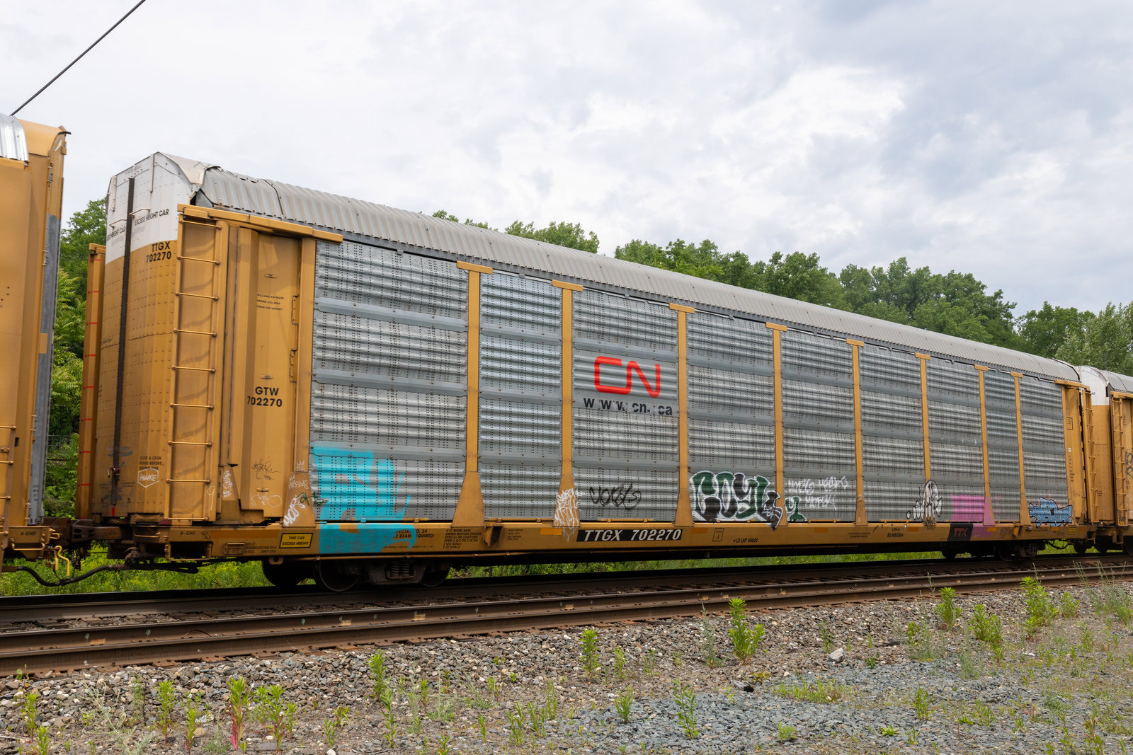 TTGX 702270