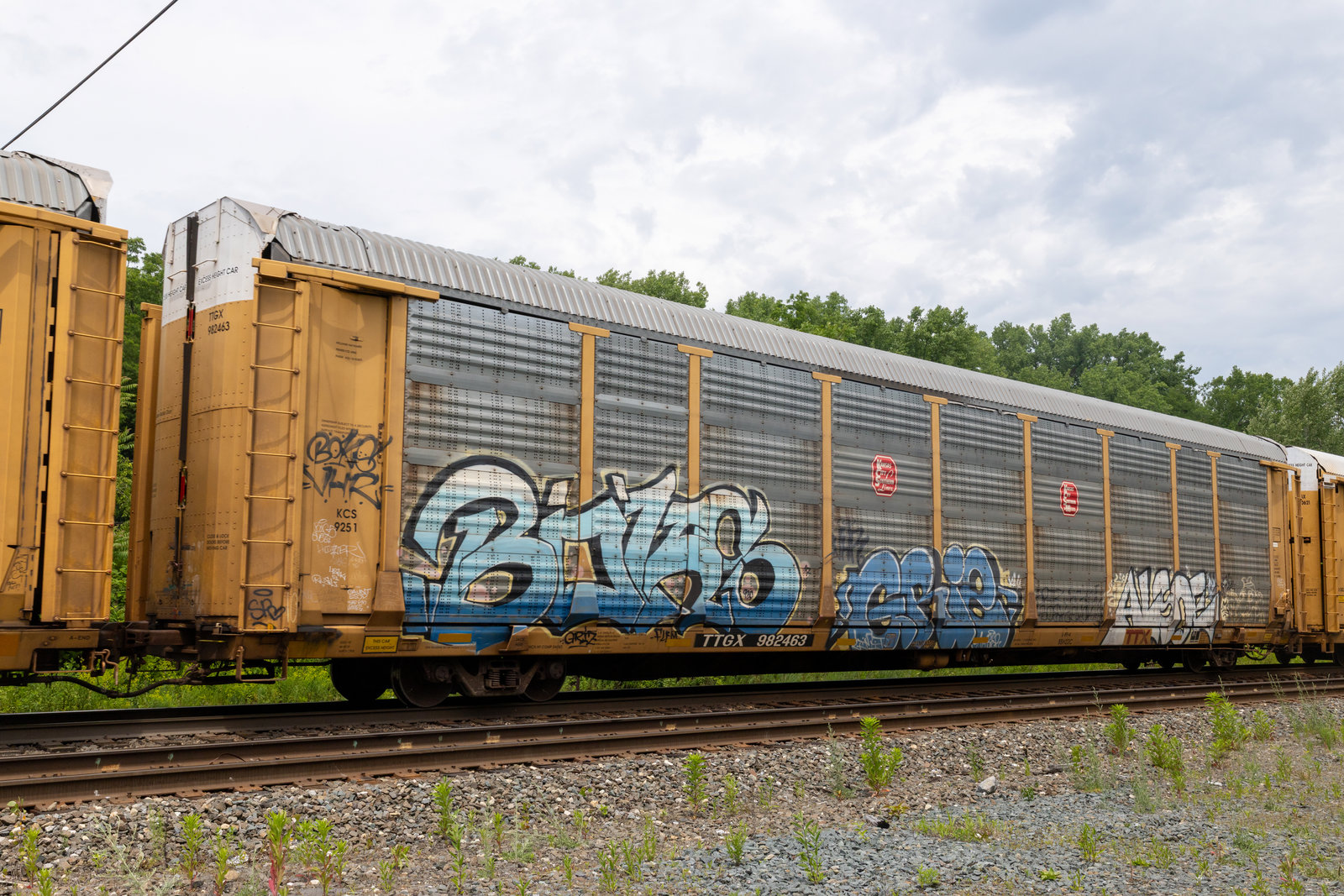 TTGX 982463