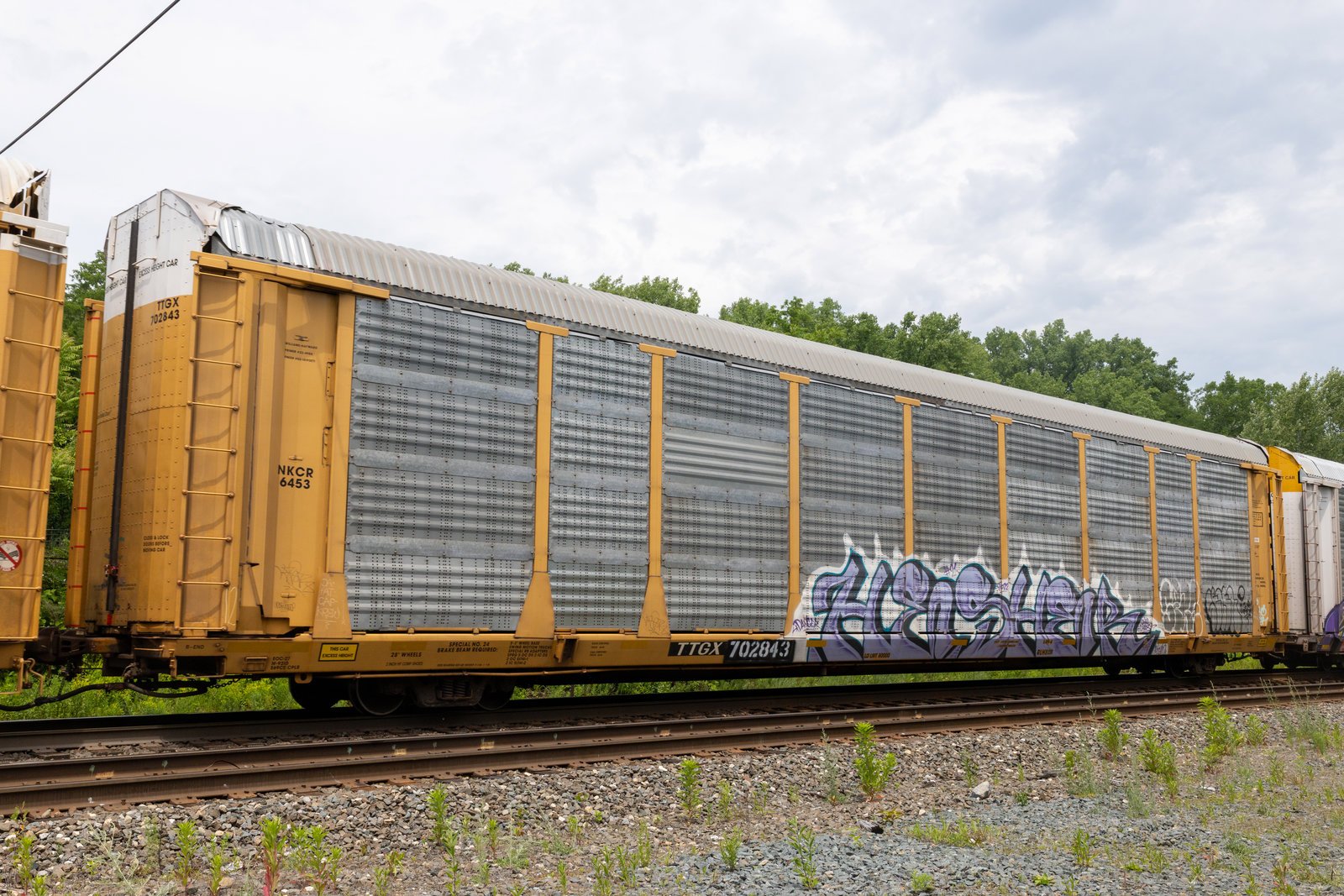 TTGX 702843