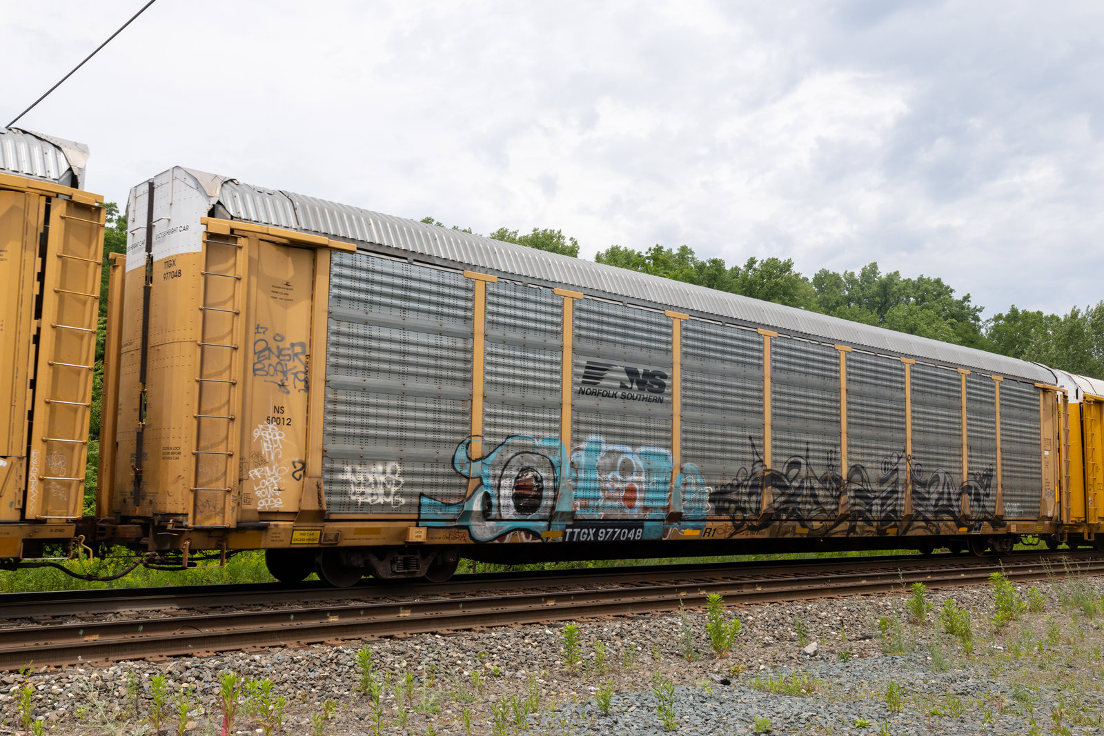 TTGX 977048