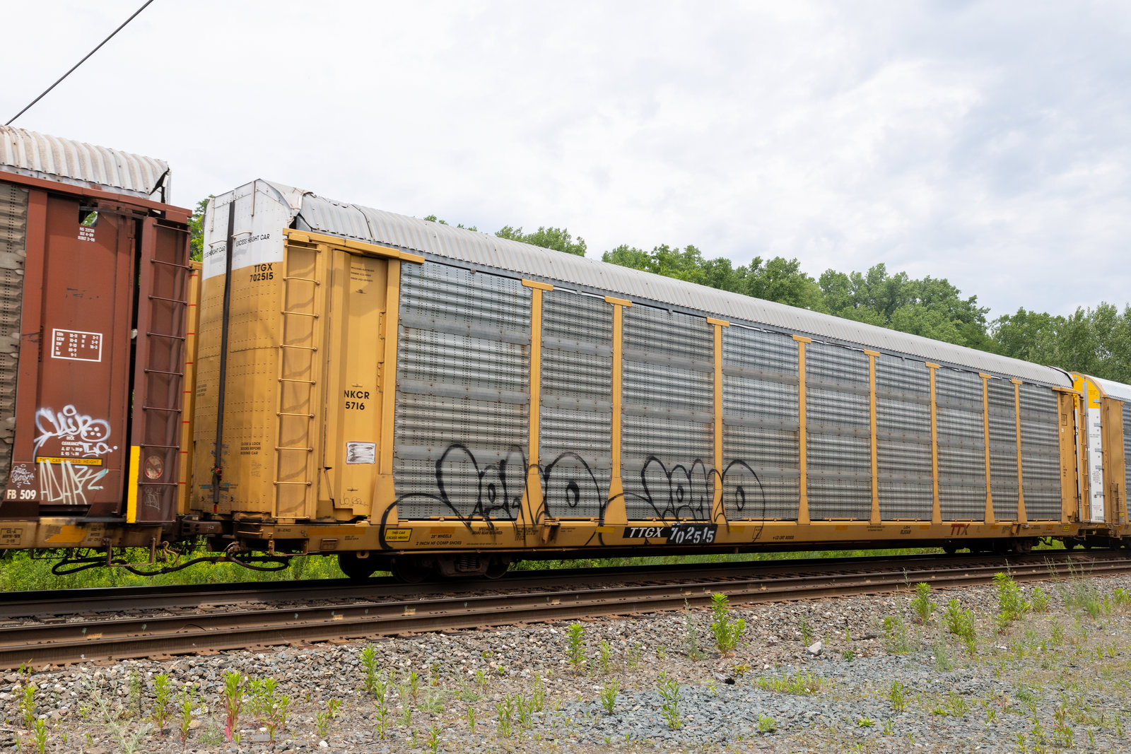 TTGX 702515
