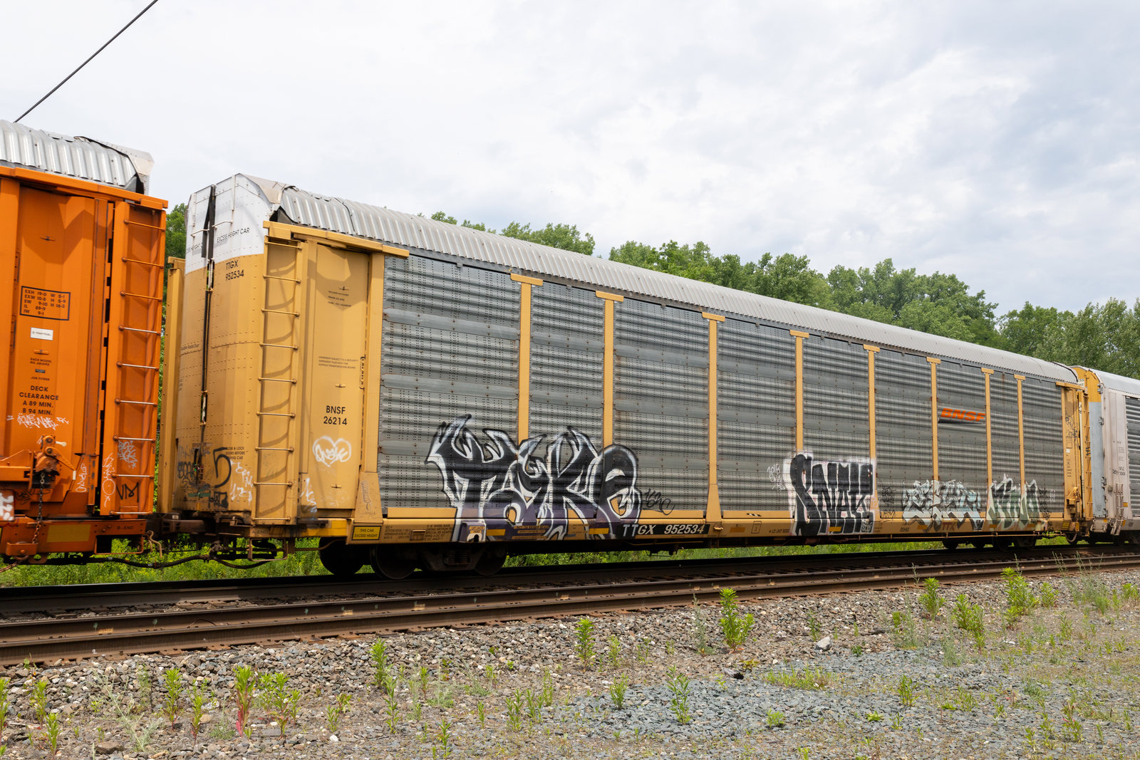 TTGX 952534