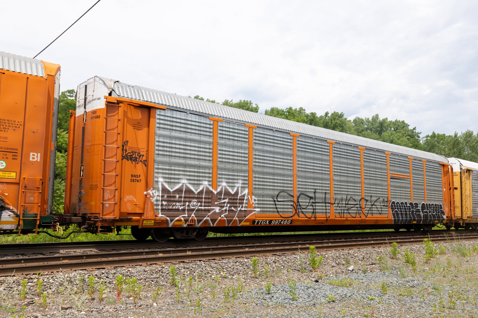 TTGX 997480