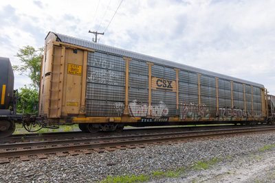 TTGX 978508