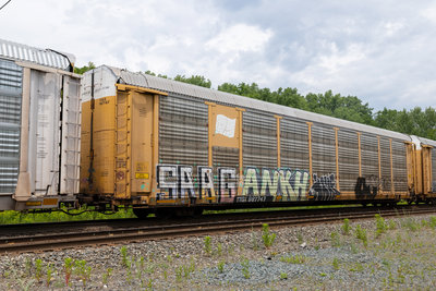 TTGX 987747