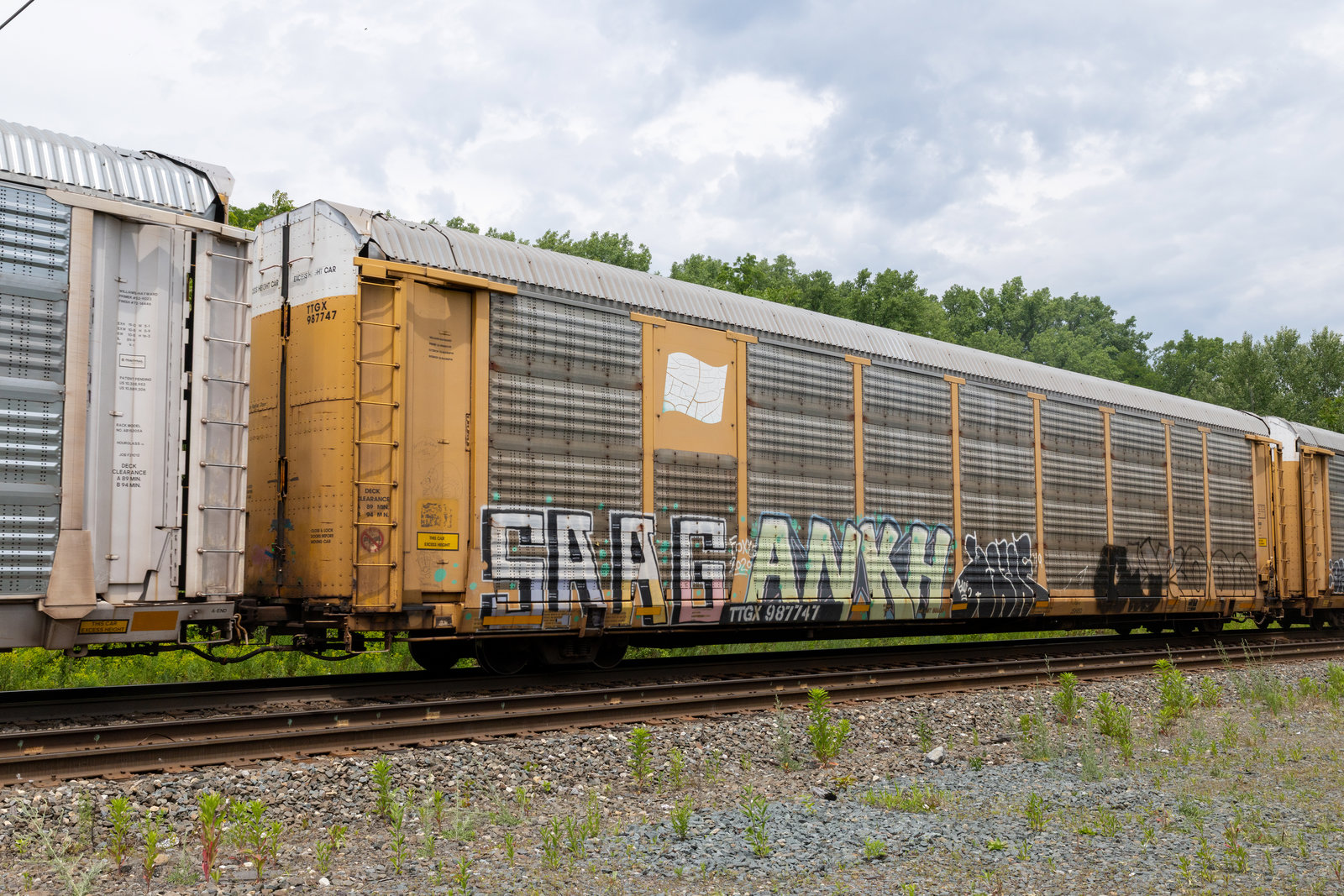 TTGX 987747