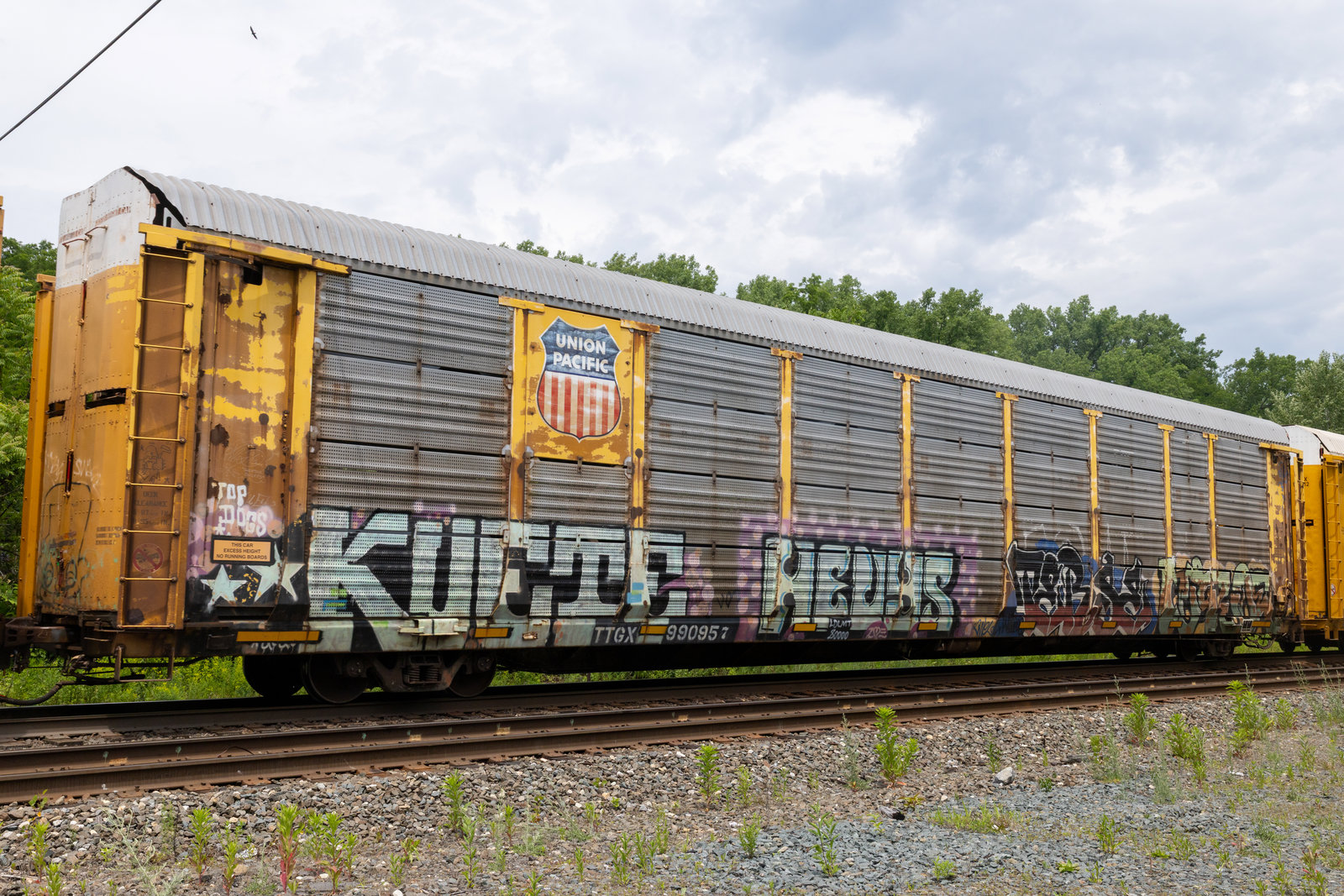 TTGX 990957