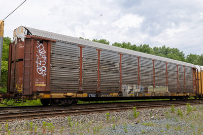 TTGX 255836