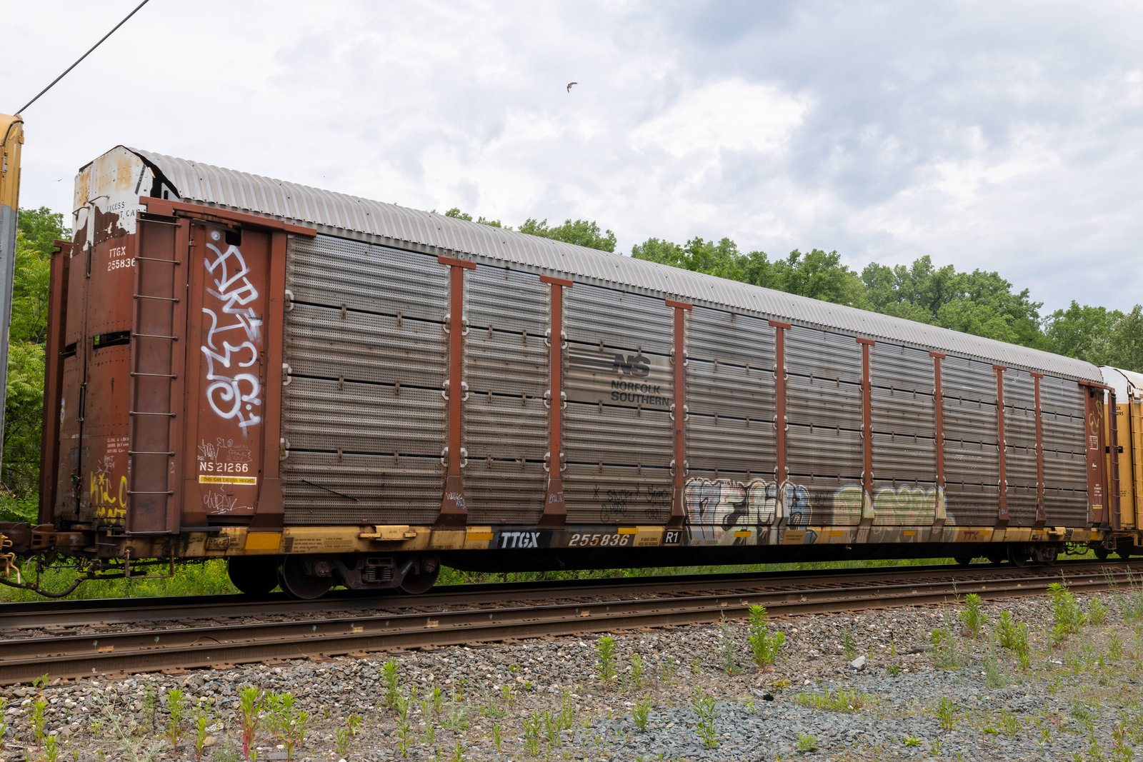TTGX 255836