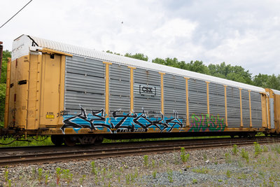TTGX 941195
