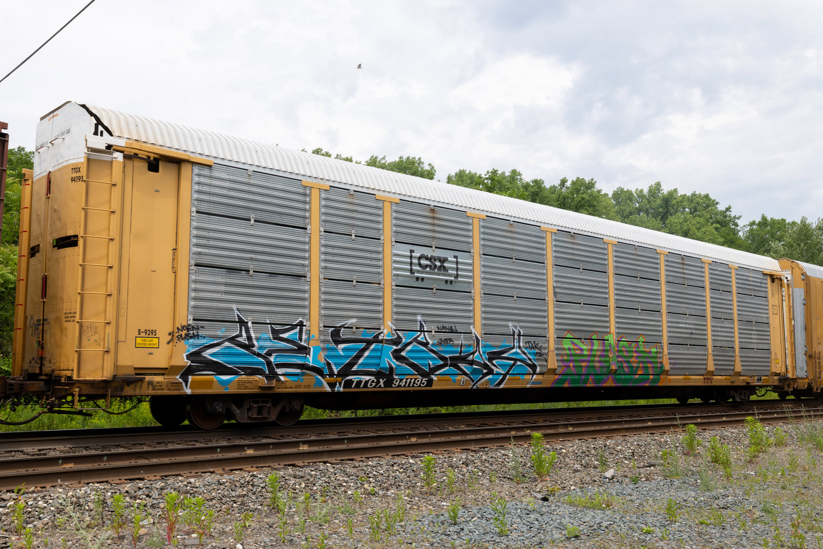 TTGX 941195