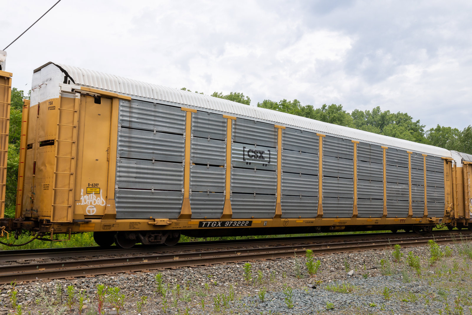 TTGX 973222