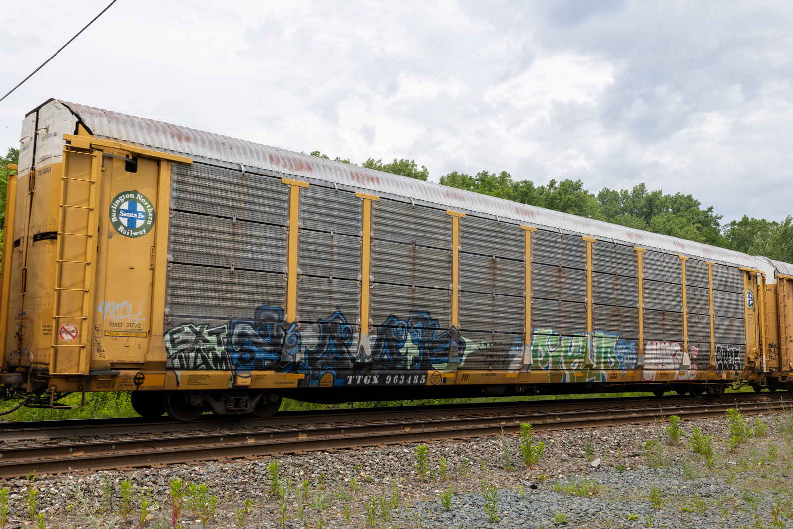 TTGX 963485