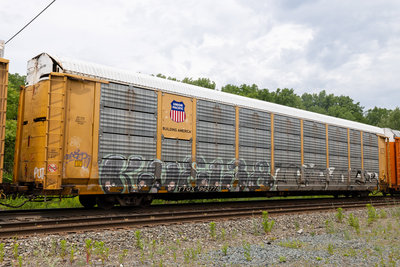 TTGX 965775