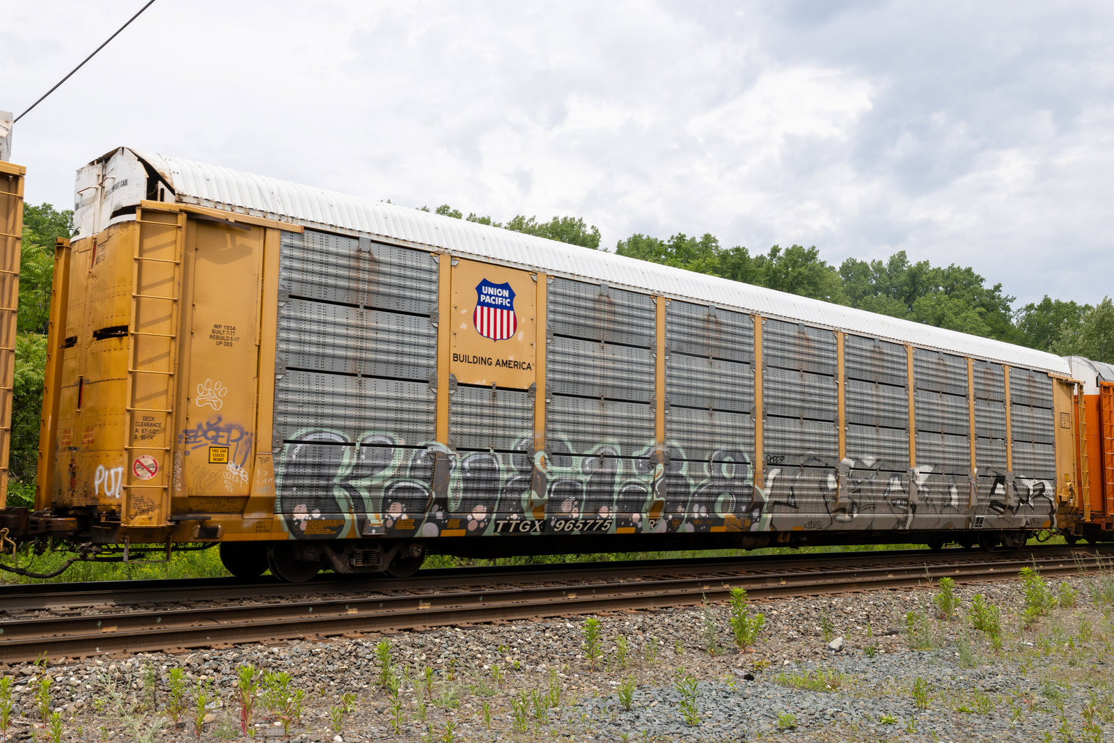 TTGX 965775