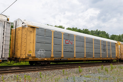TTGX 979344