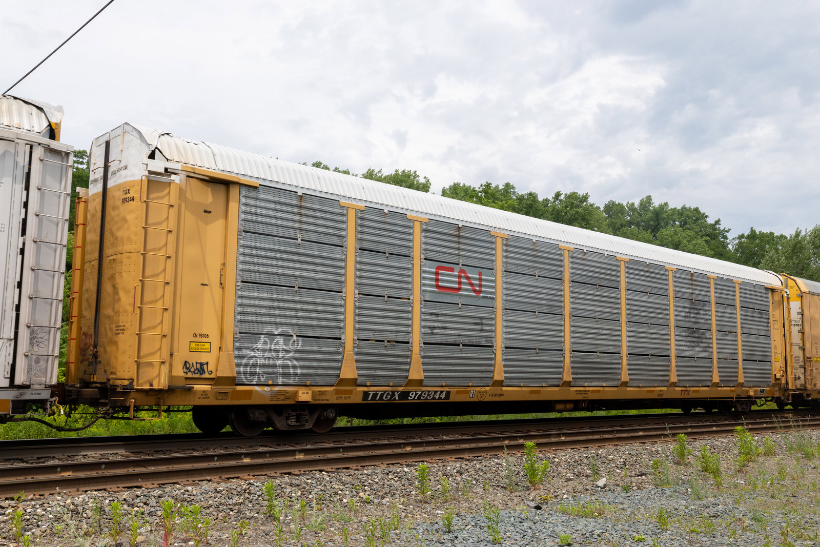 TTGX 979344