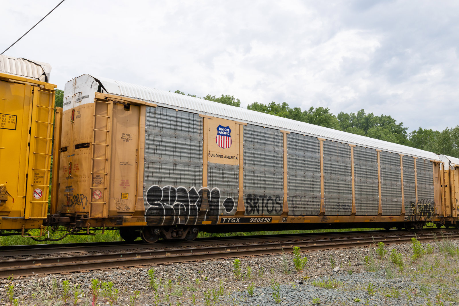 TTGX 980858