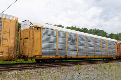 TTGX 159817