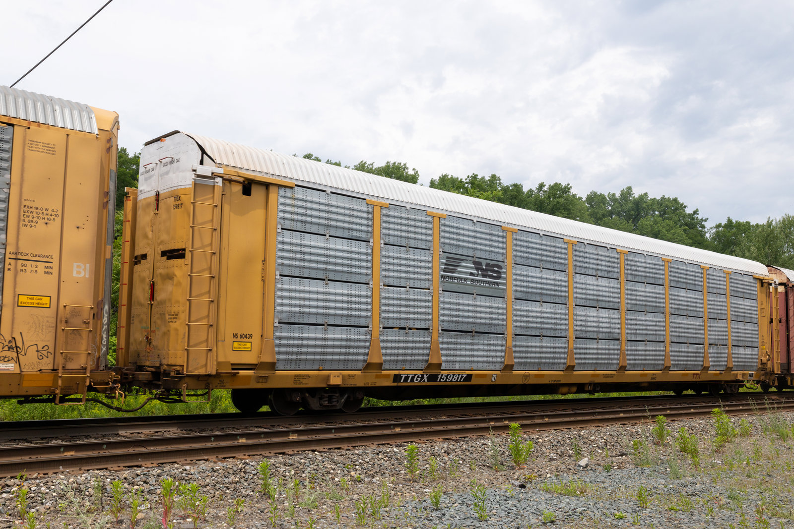 TTGX 159817