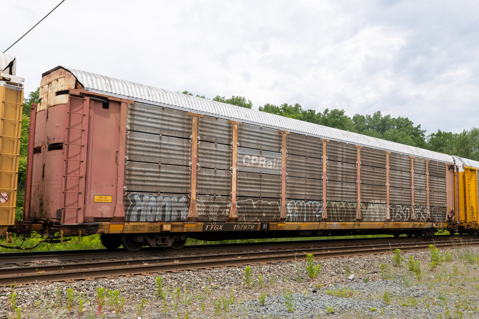 TTGX 157878