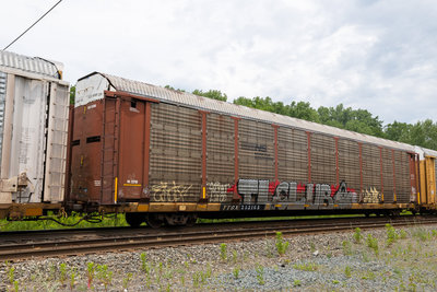 TTGX 253168