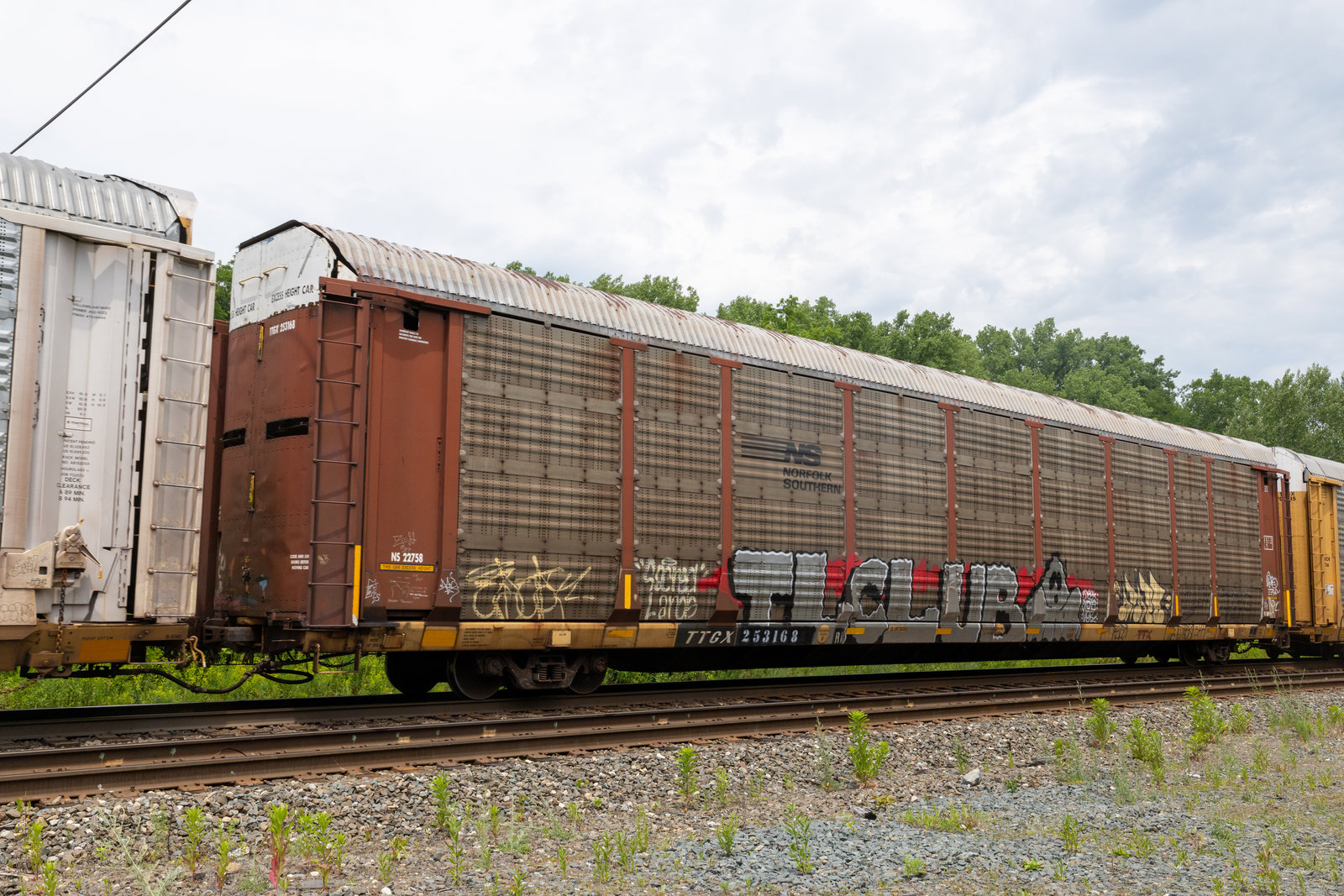 TTGX 253168