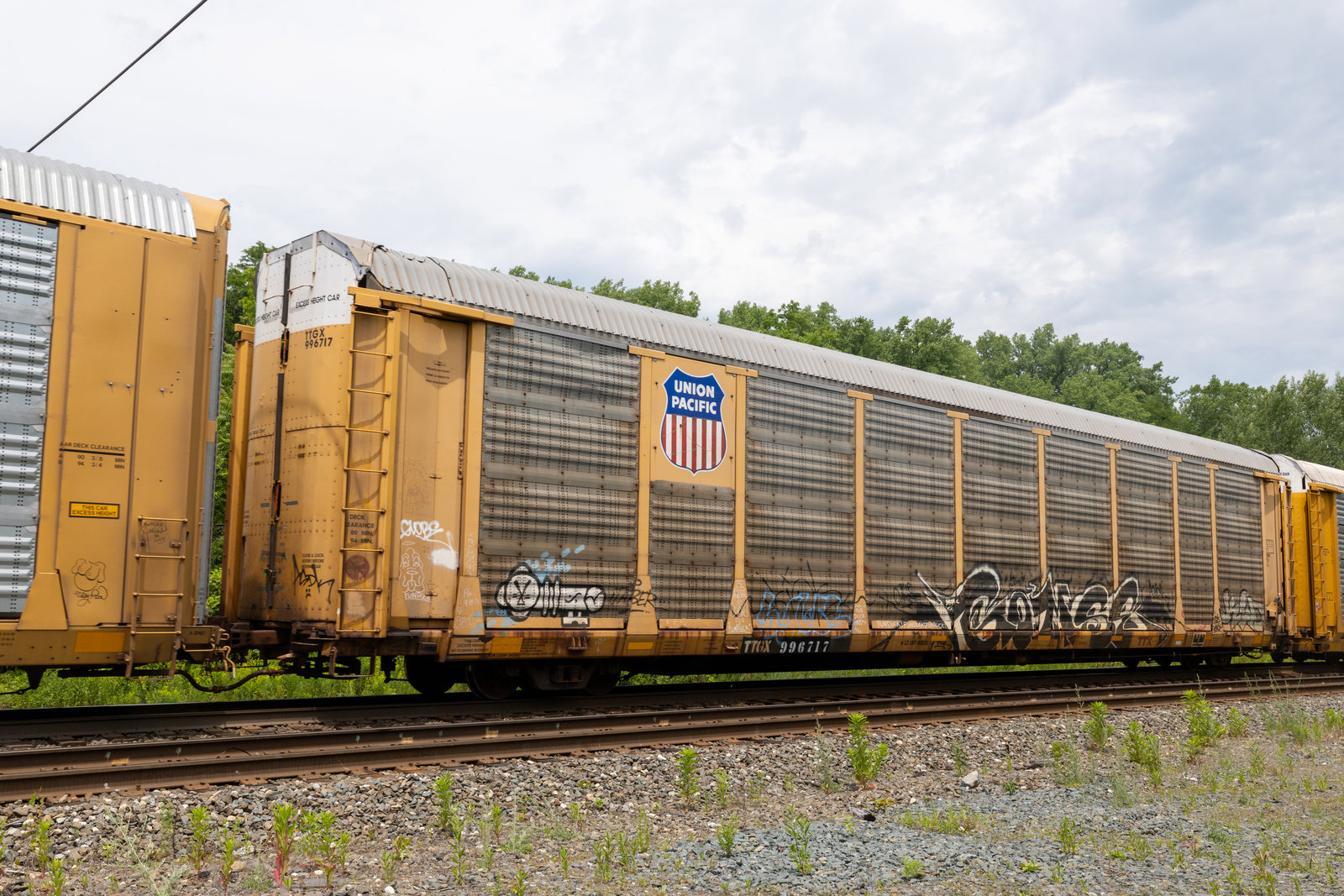 TTGX 996717