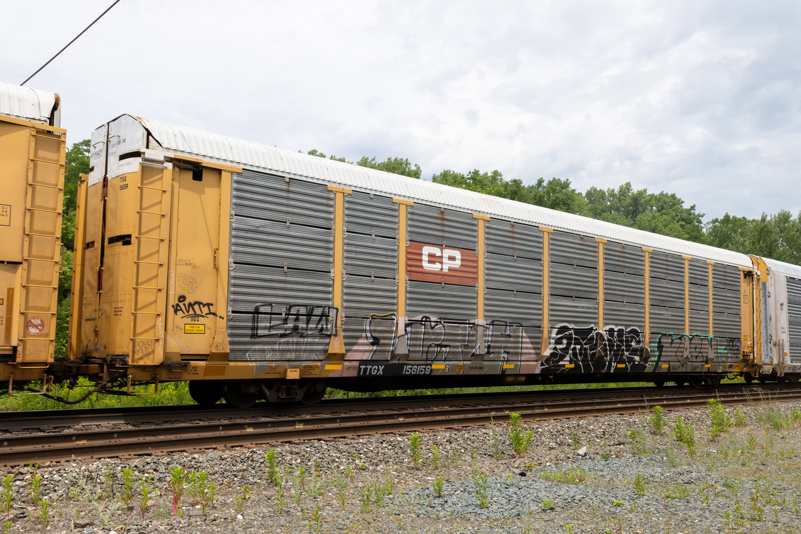 TTGX 156159
