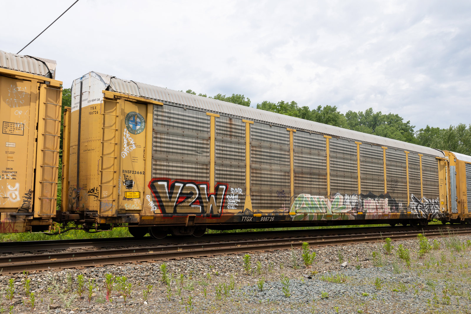 TTGX 986726