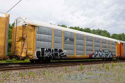 TTGX 985258