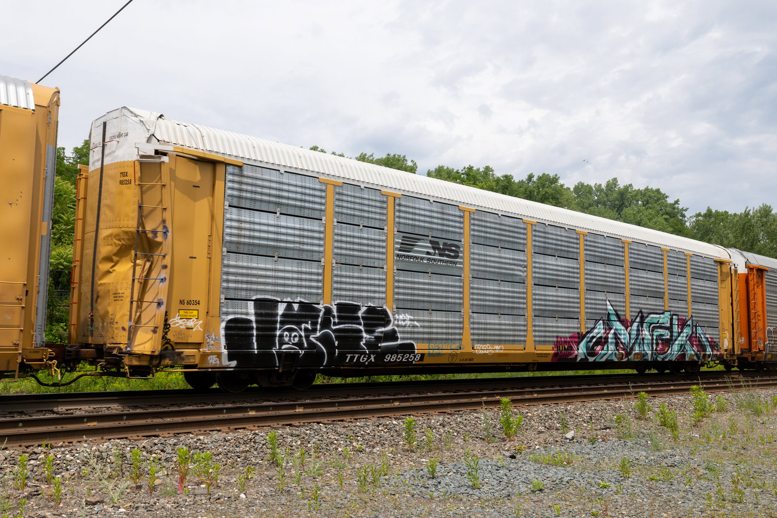 TTGX 985258