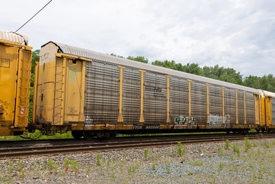 TTGX 992098